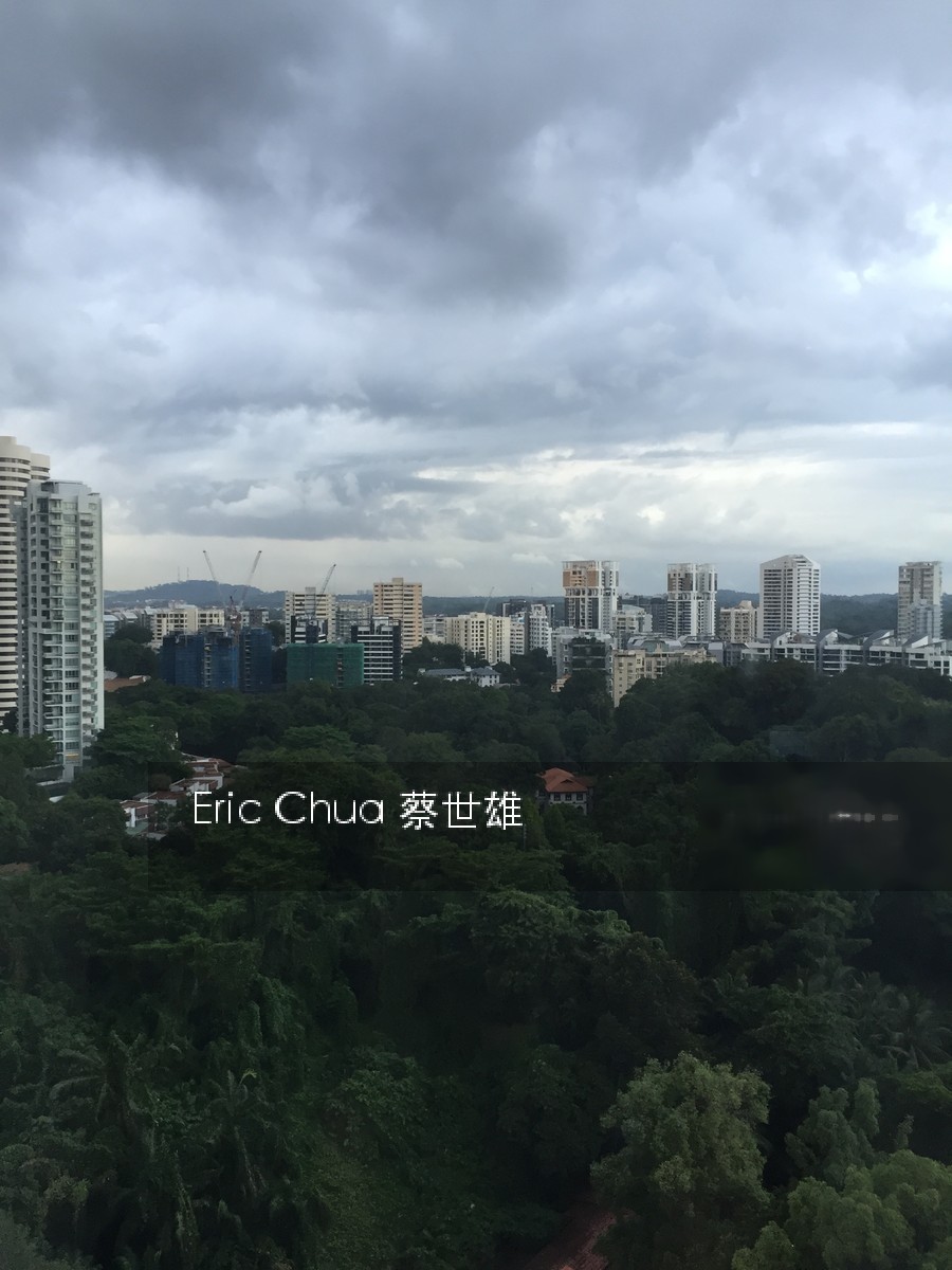 Scotts 28 thumbnail photo